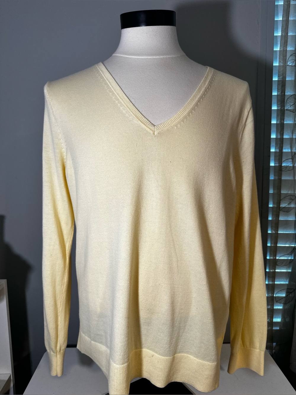 Banana Republic Women's V-Neck Sweater in Pale Yellow